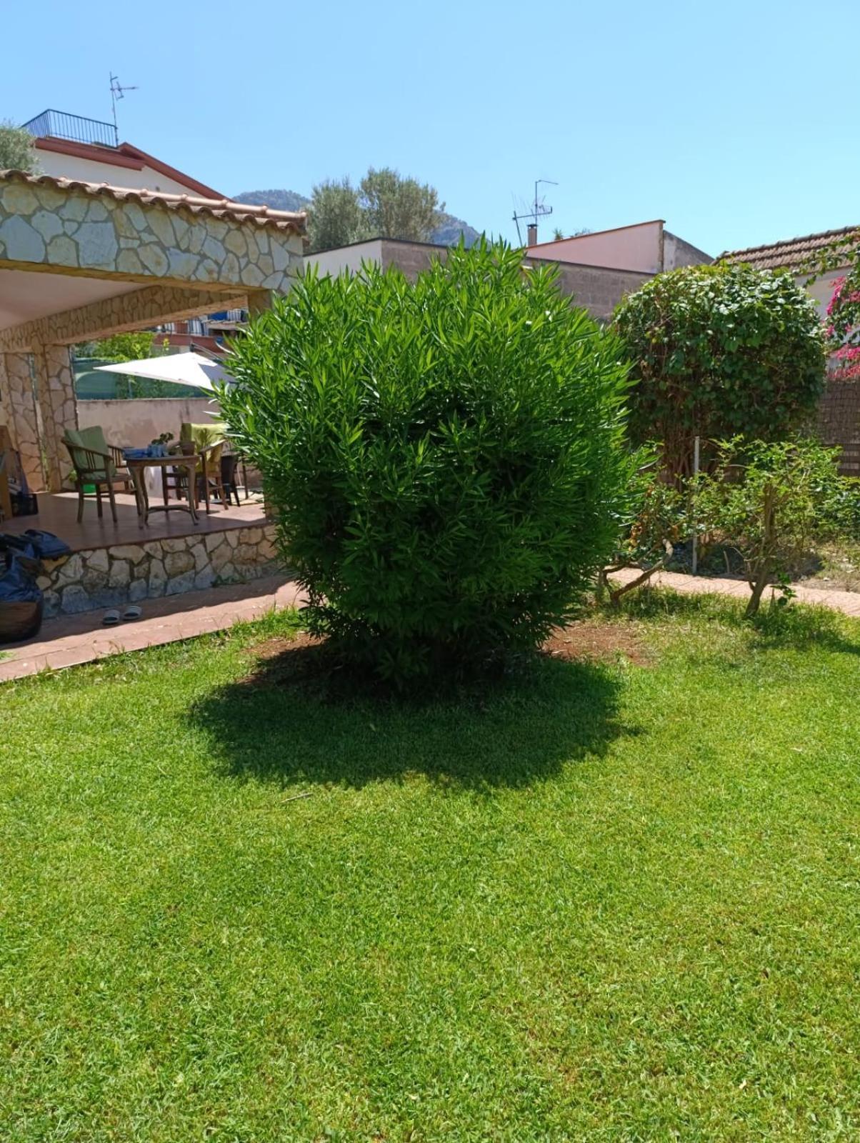 Casa In Giardino A Pochi Passi Dal Mare Villa Palermo Exteriör bild